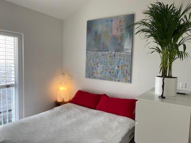 Casa Collina Apartment Locarno Bagian luar foto